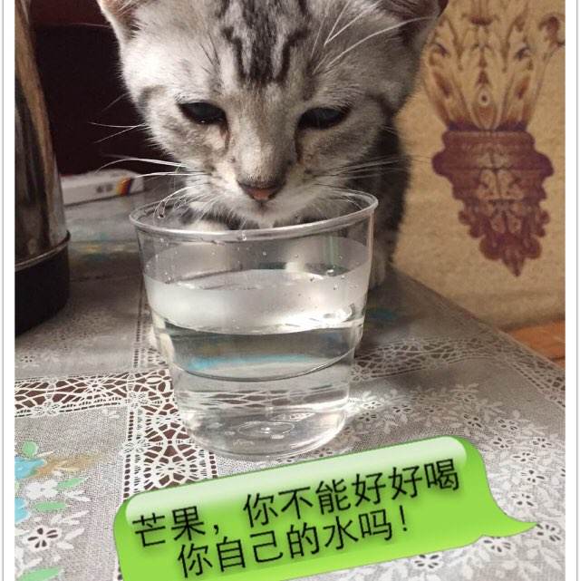 购买仿真农业银行定期存款单